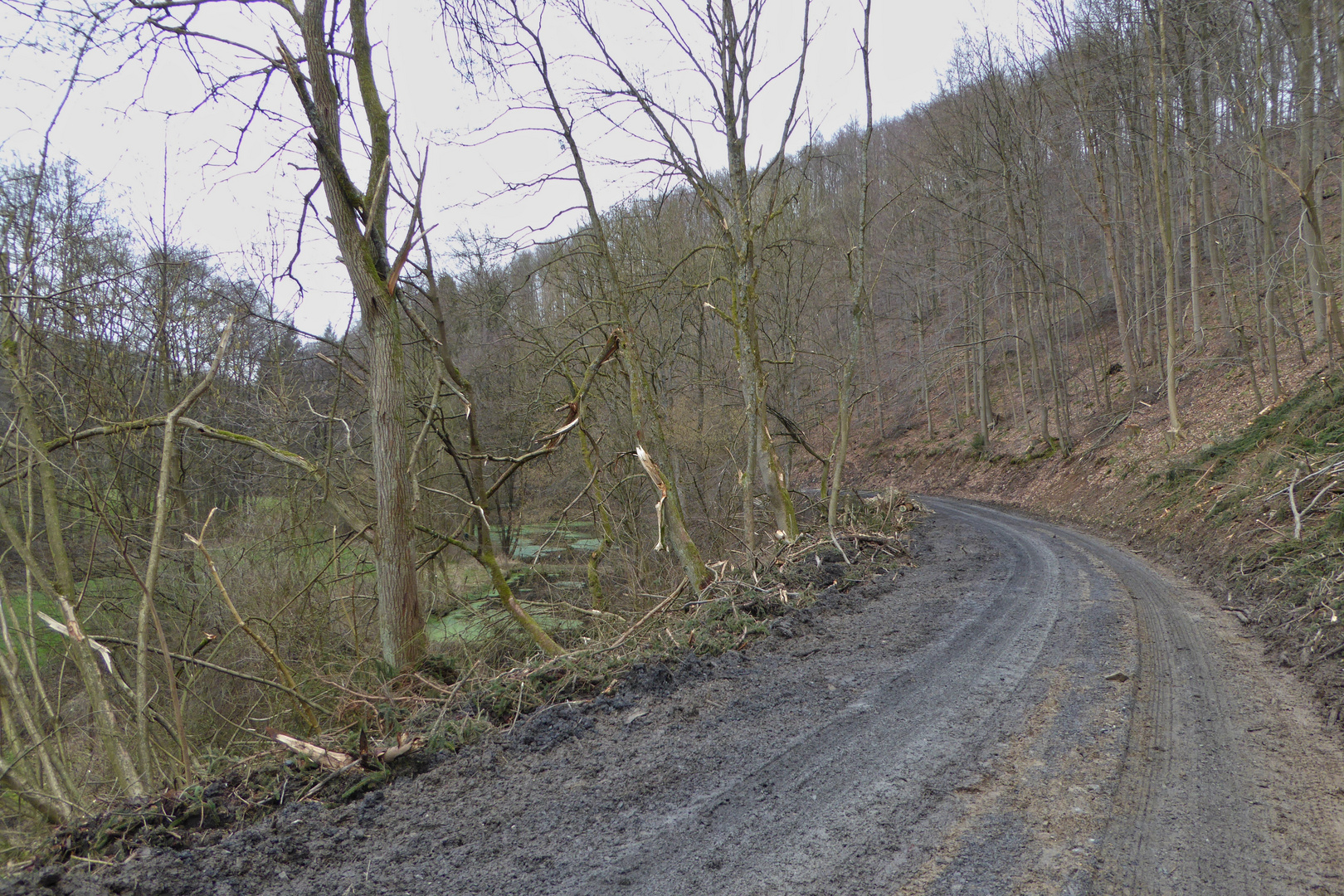 Im Naturschutzgebiet (P1000912_ji)