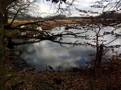 Im Naturschutzgebiet Riddagshausen