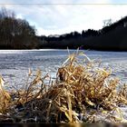 Im Naturschutzgebiet "Rosenheimer Lay" im Westerwald