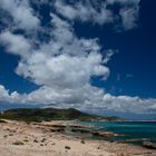 Im Naturschutzgebiet Ses Salines (1)