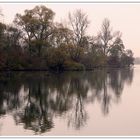 Im Naturschutzgebiet Taubergießen