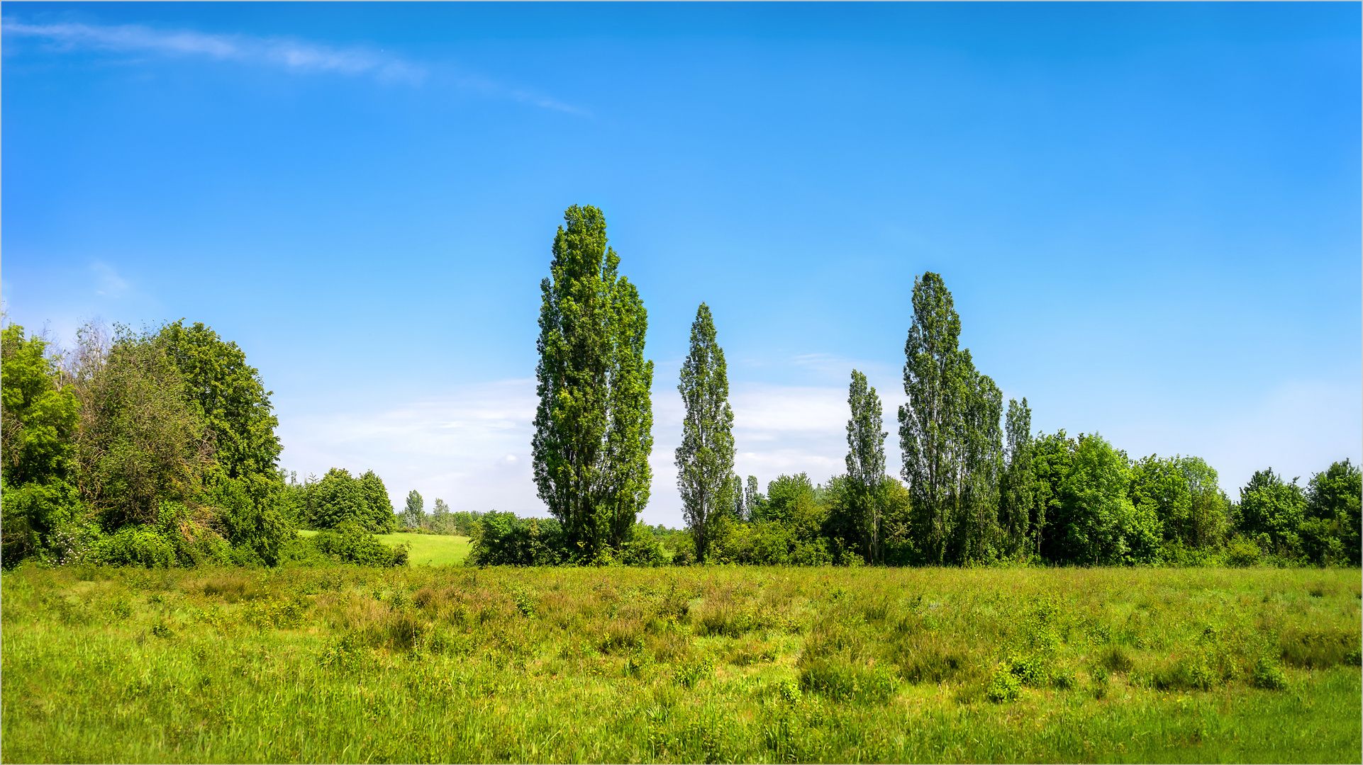 Im Naturschutzgebiet Weilbacher Kiesgruben 