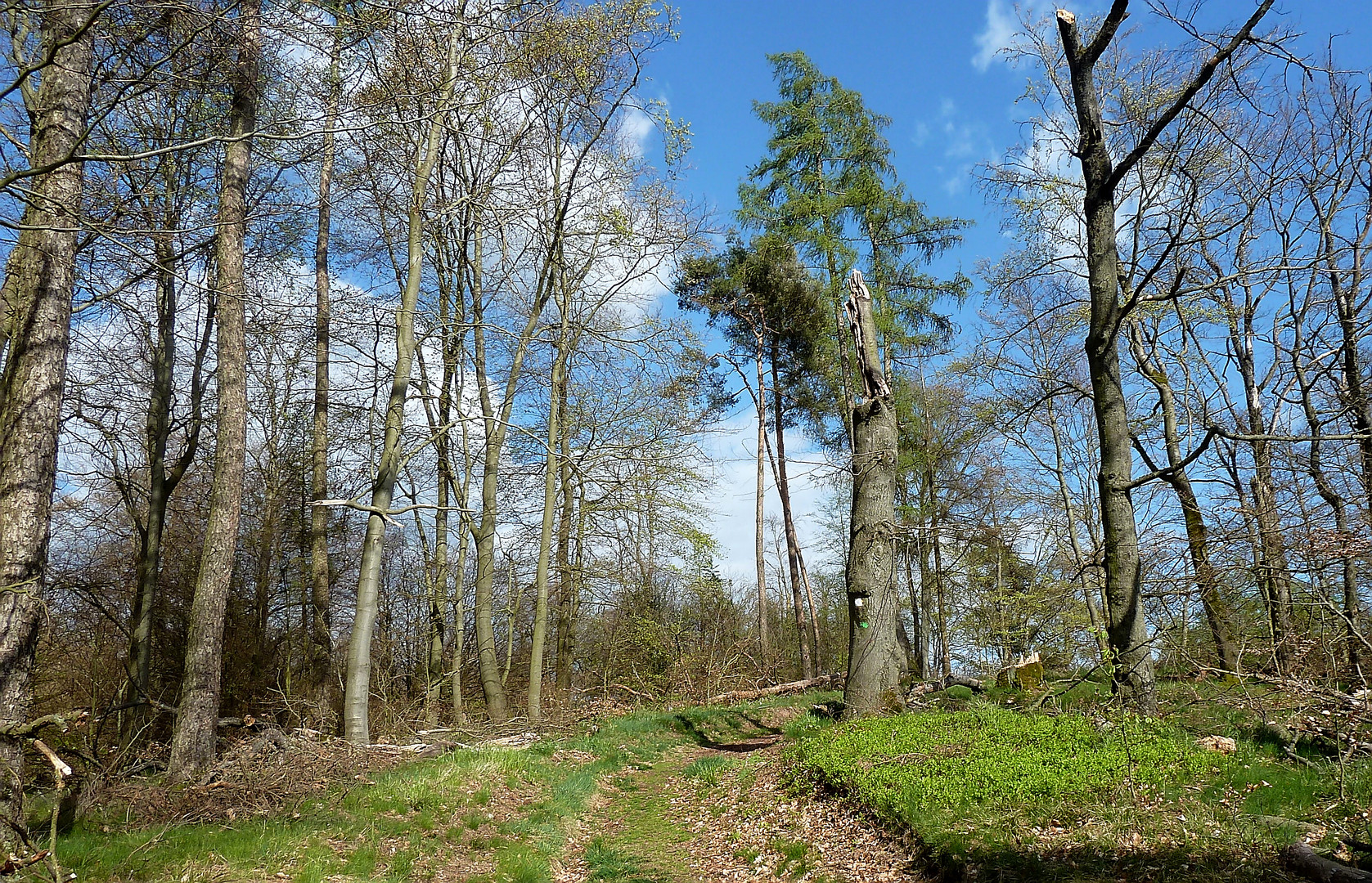 Im Naturschutzreservat am Hirschstein