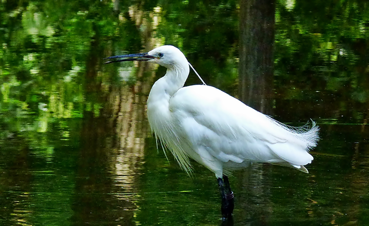 Im Naturzoo Rheine . . .