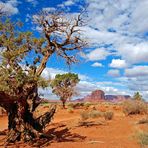 Im Navajo Tribal Park...