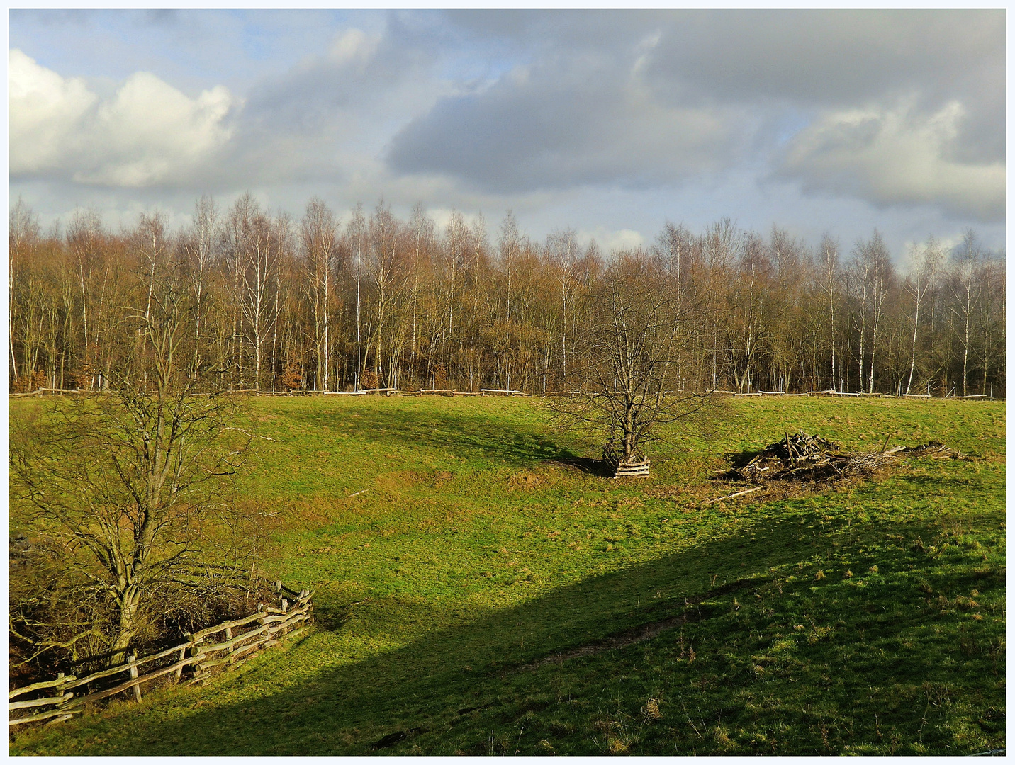 Im Neandertal Januar 2012