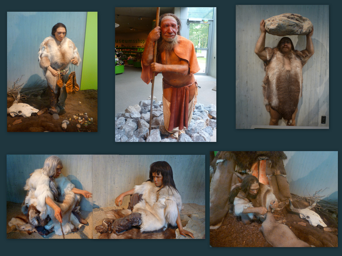 Im Neanderthal-Museum