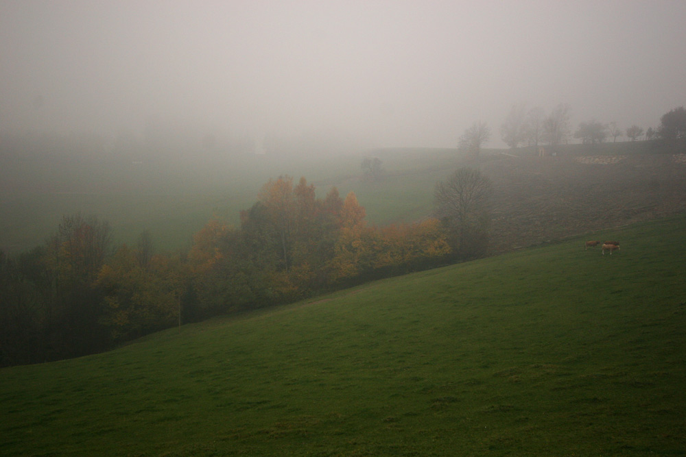 im Nebel 02