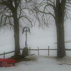 Im Nebel