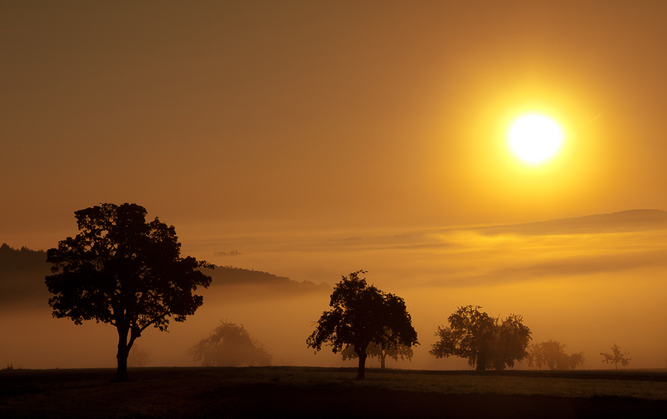 Im Nebel 10