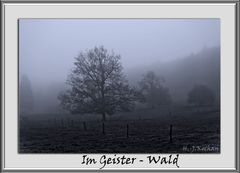 Im Nebel...