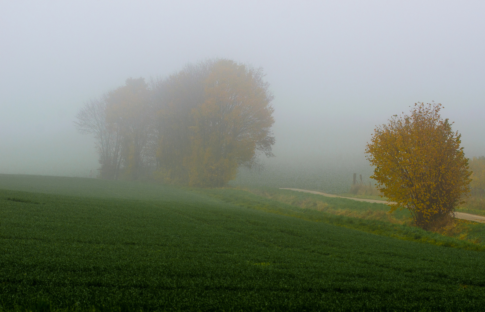 Im Nebel