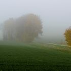 Im Nebel