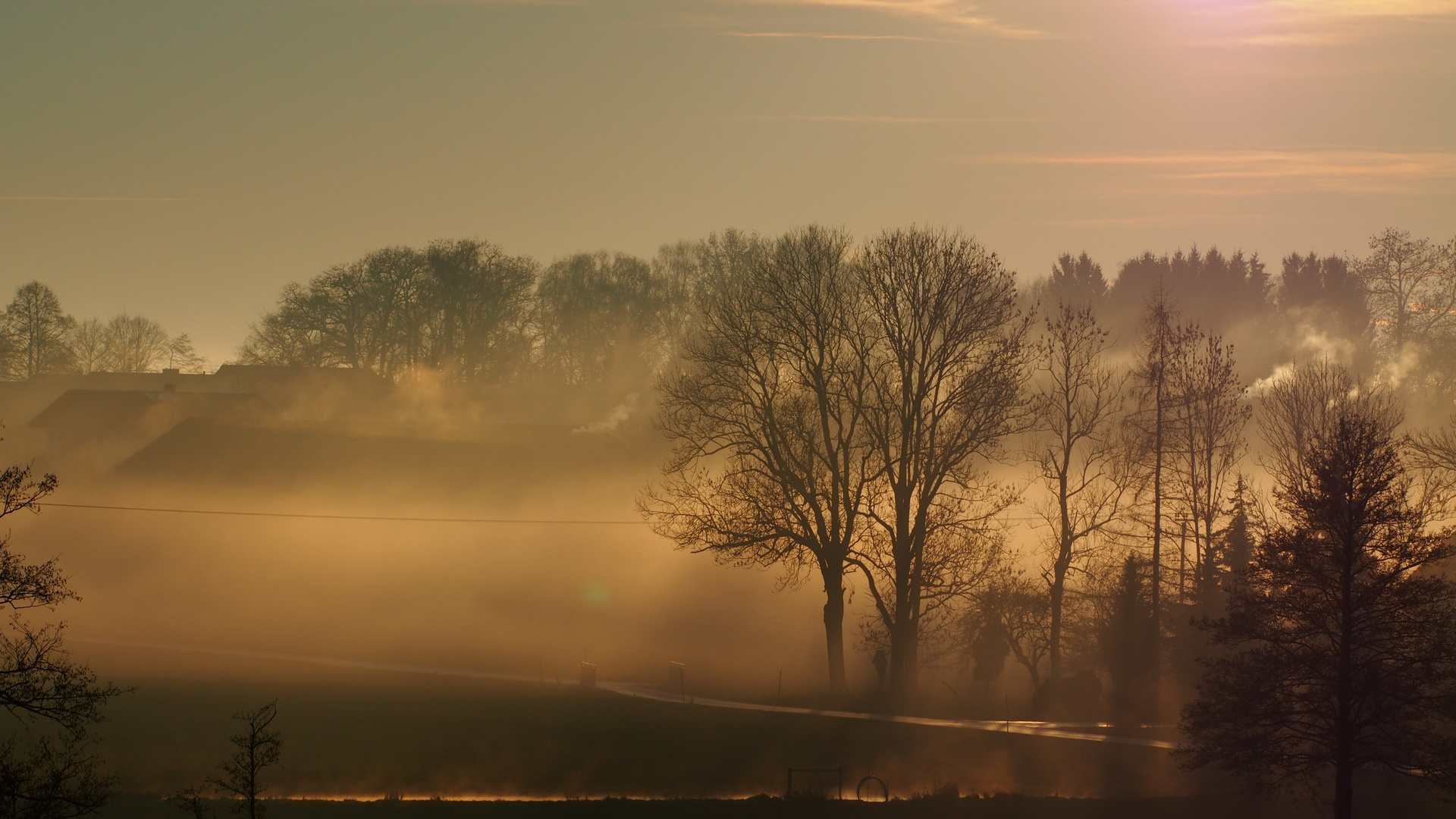 Im Nebel