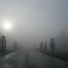 Im Nebel