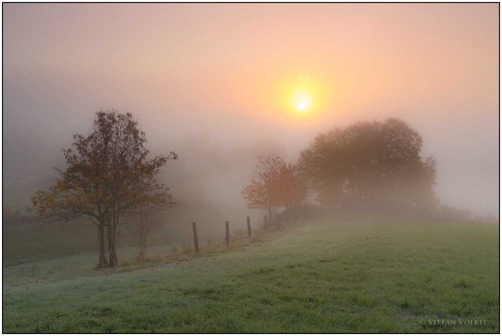 Im Nebel...