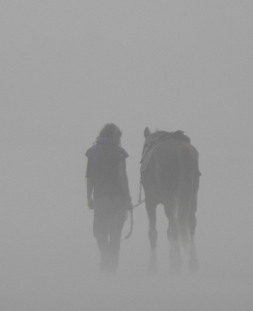 im Nebel von chaefer (Barbara) 