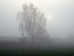 Im Nebel