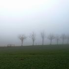 Im Nebel