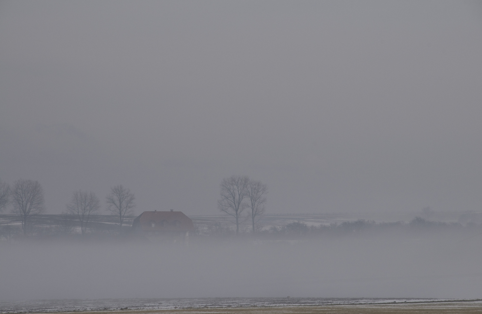 im Nebel