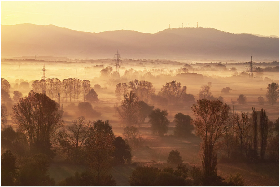 ...im Nebel...