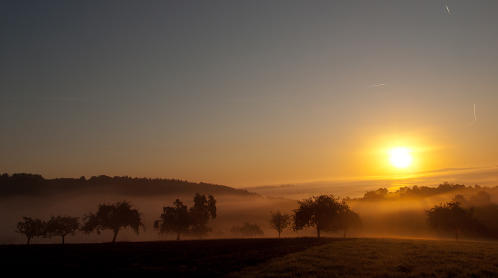 Im Nebel 7