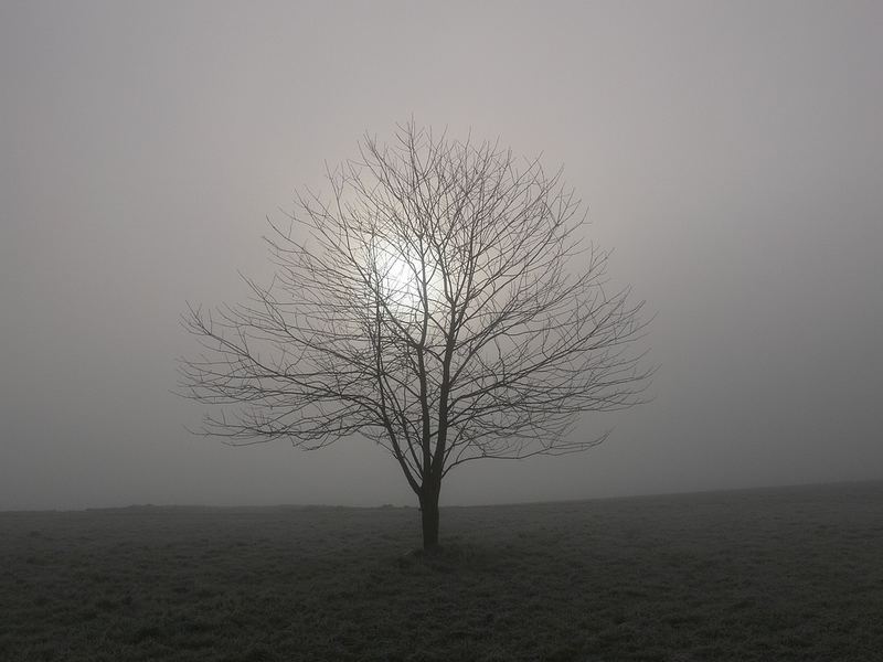 Im Nebel