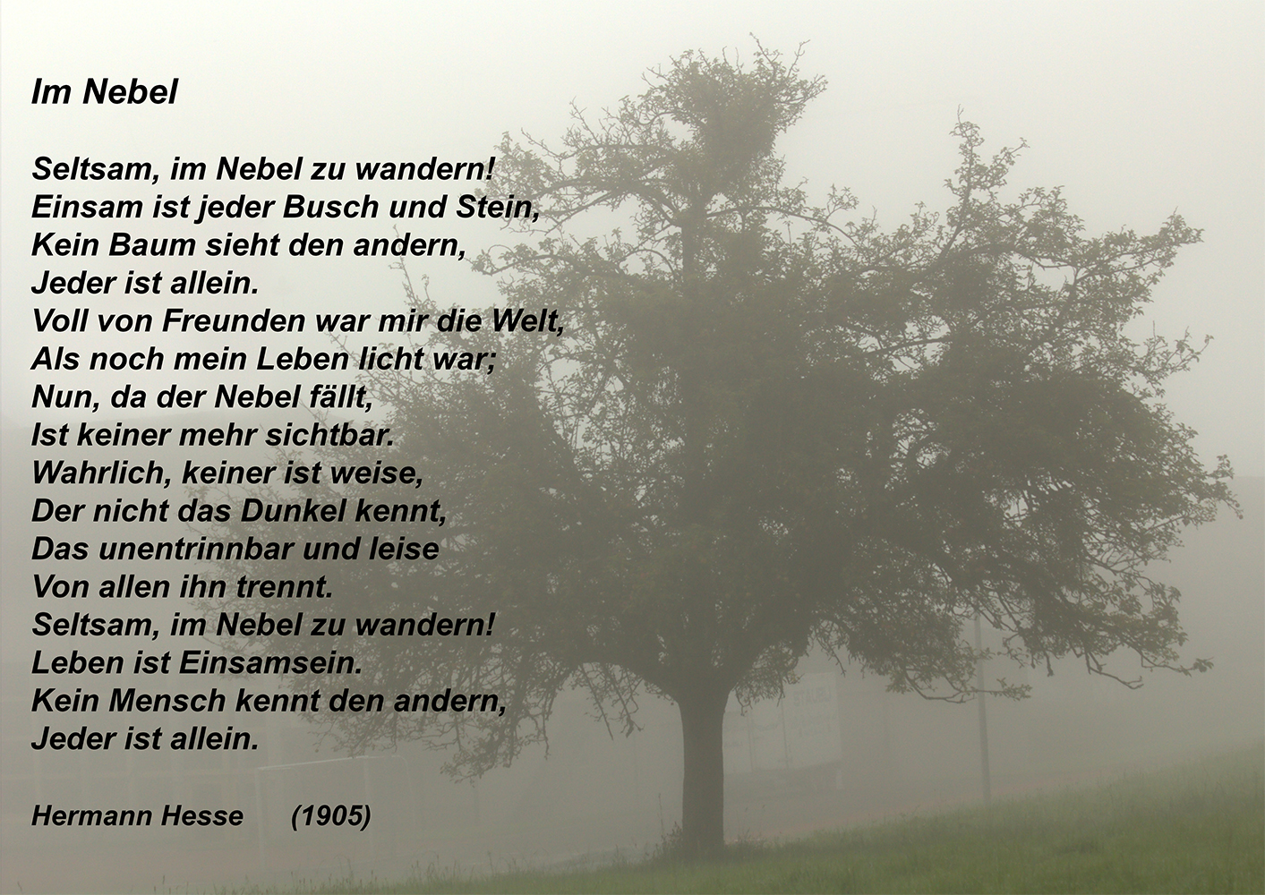 Im Nebel