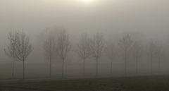 Im Nebel.....