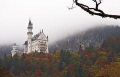 Im Nebel