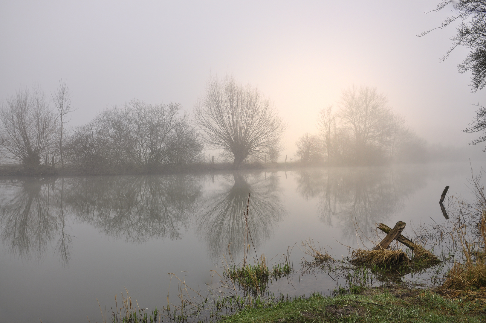 Im Nebel an der Lippe