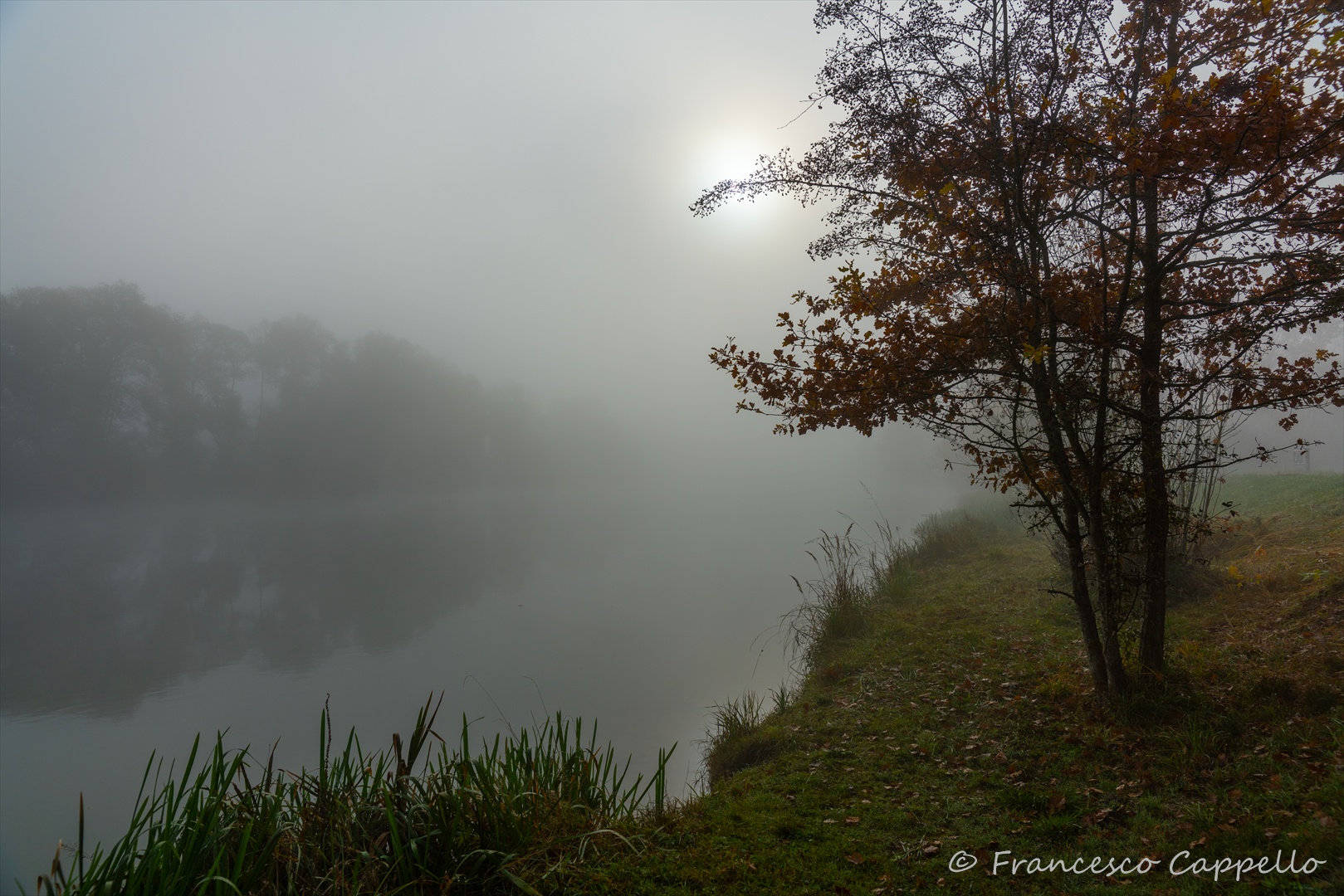 im Nebel an der Reuss