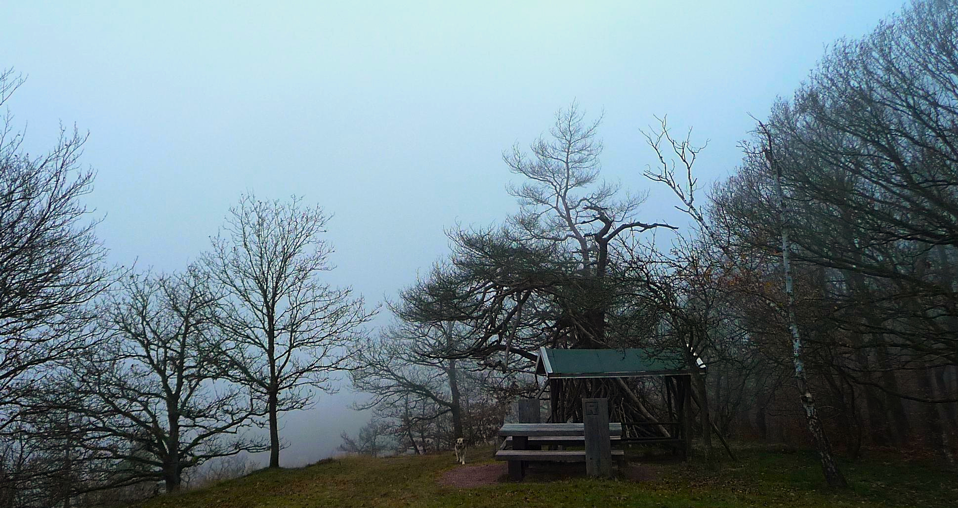 Im Nebel auf dem Hirschstein