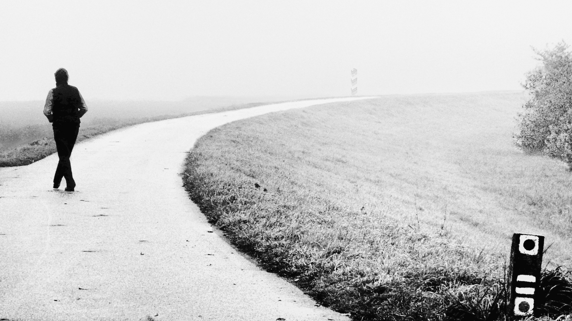 im Nebel auf dem Oder-Deich