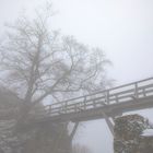 Im Nebel auf der Burg