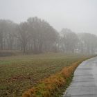 Im Nebel