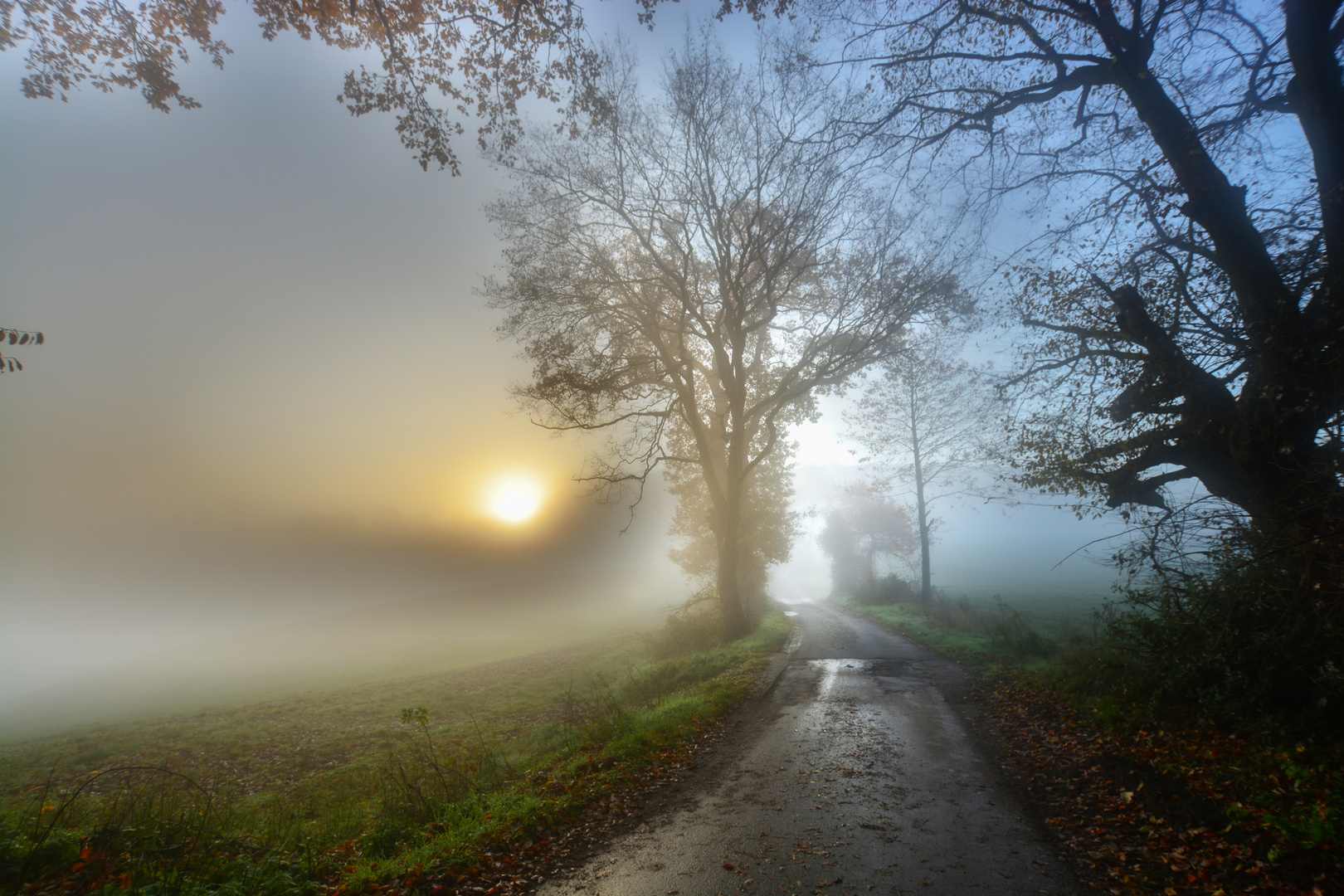 Im Nebel Foto & Bild | sonnenaufgang, licht, natur Bilder auf fotocommunity