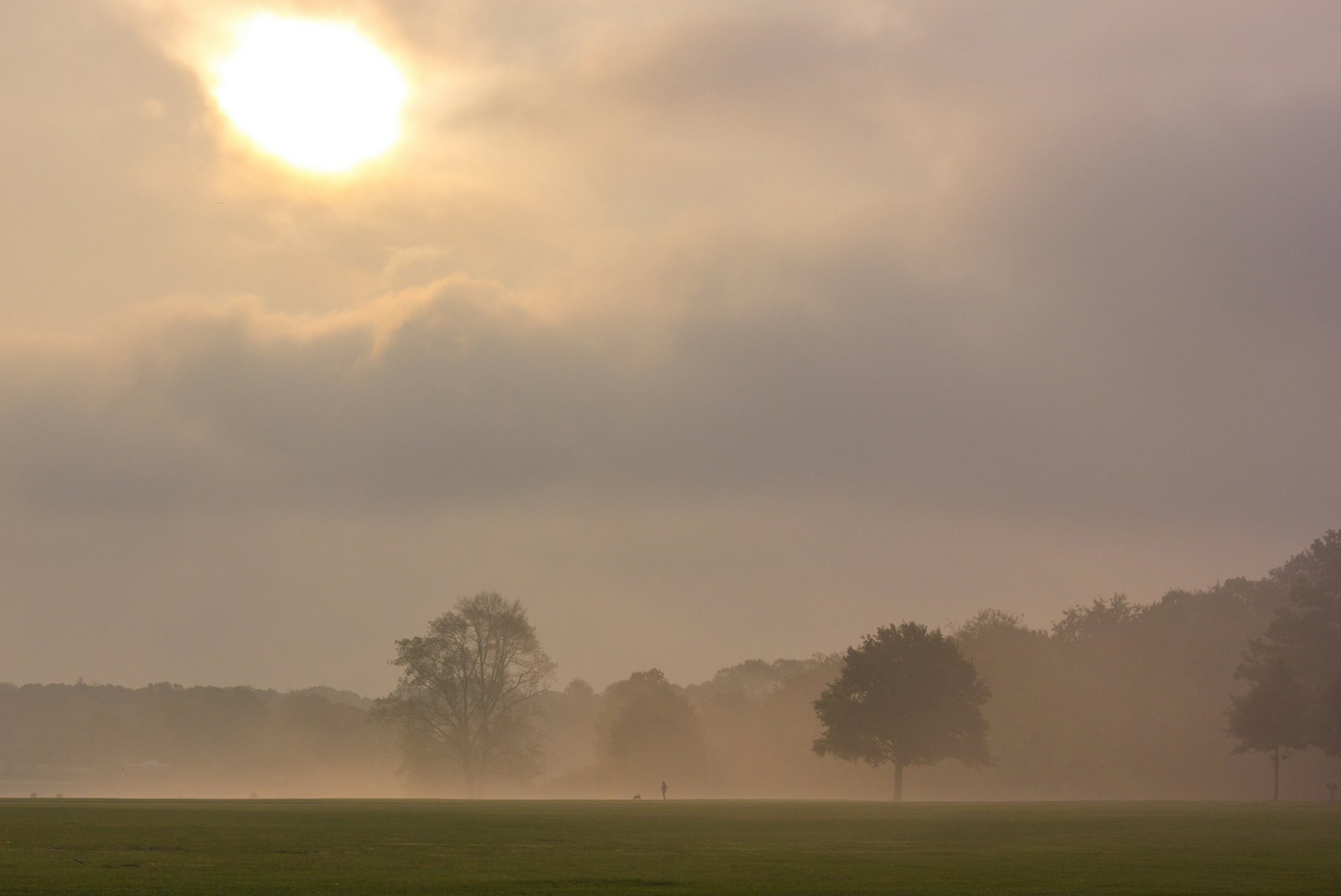 Im Nebel - Der Hamburger Stadtpark