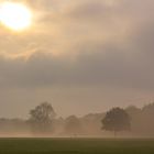 Im Nebel - Der Hamburger Stadtpark