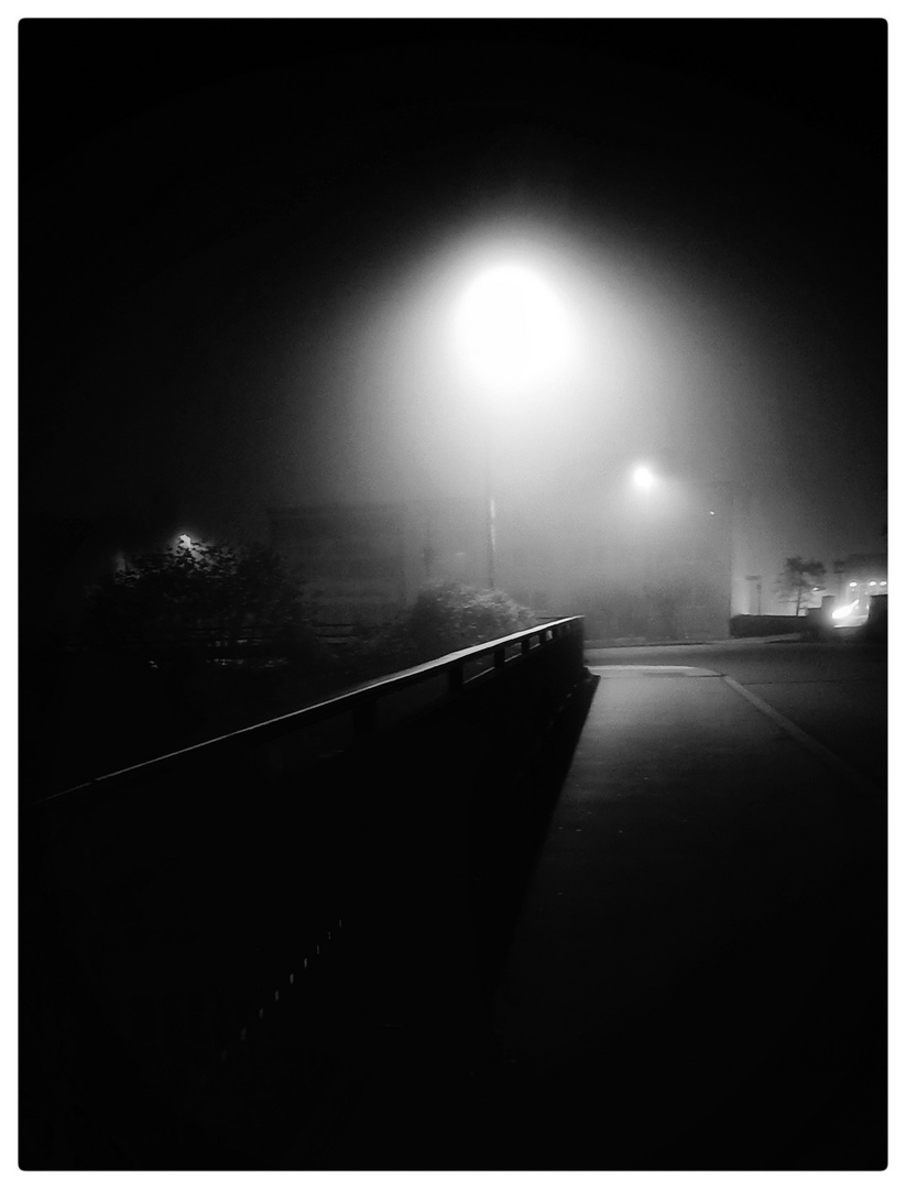 Im Nebel der Nacht