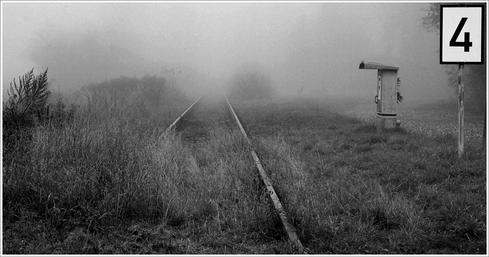 Im Nebel der Ungewißheit aber muß wenigstens eins gewiß sein – der eigene Entschluß.