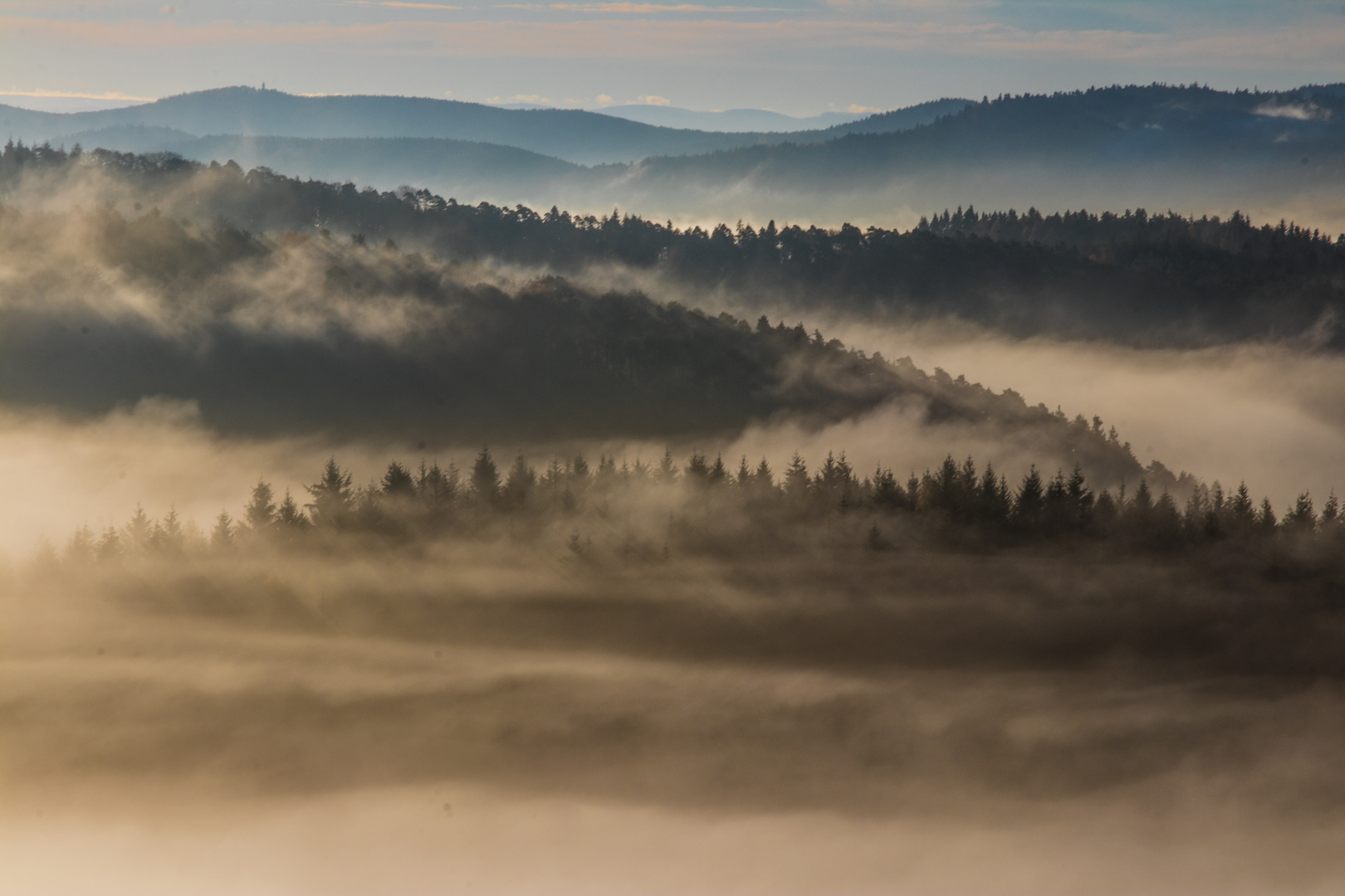 Im Nebel der Zeit