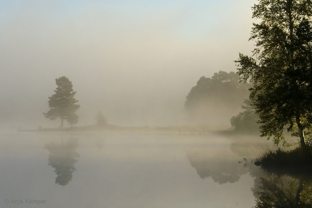 ...im Nebel der Zeit...