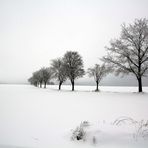 Im Nebel durch den Schnee