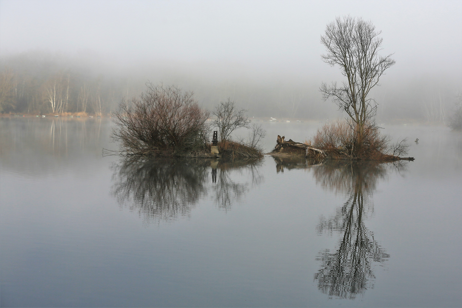 Im Nebel....