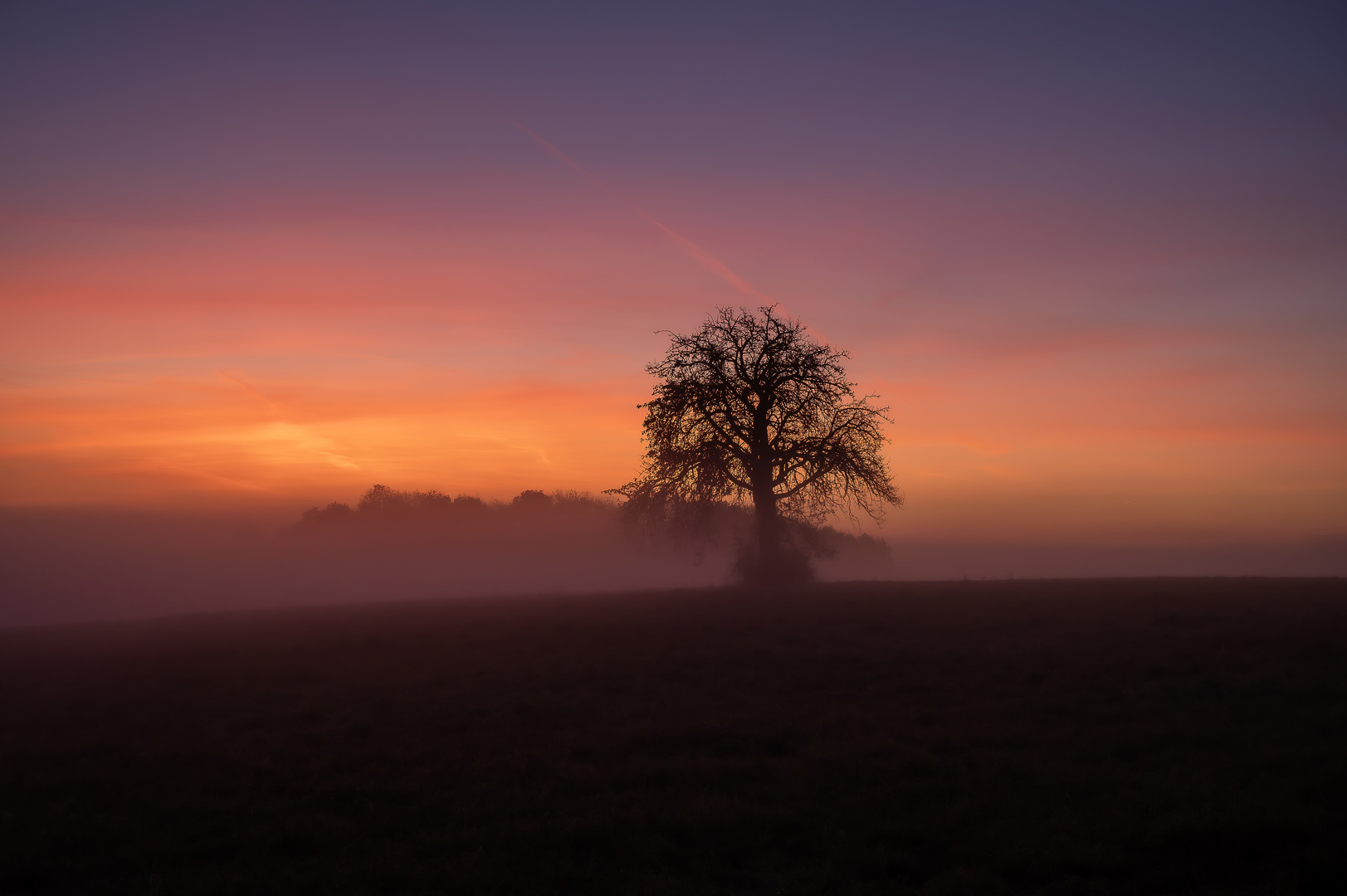 Im Nebel