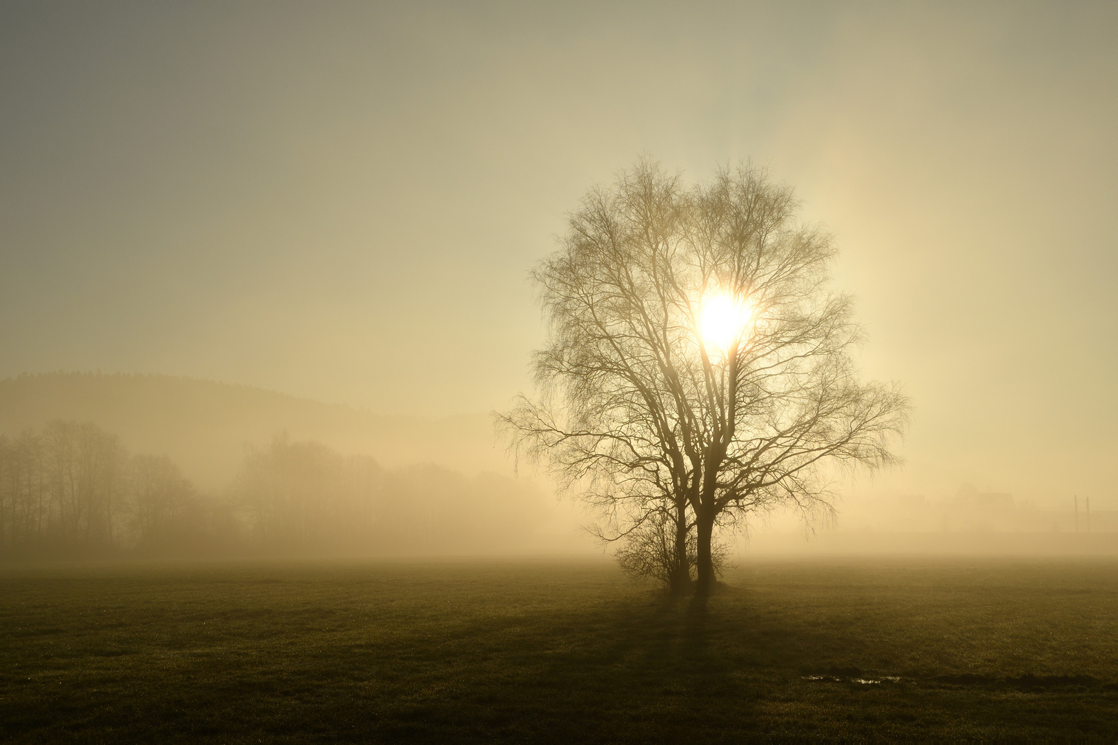 Im Nebel ...