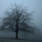 Im Nebel