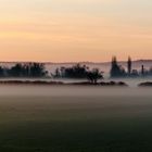 IM NEBEL EINES NEUEN MORGENS - CAROLYN HAINES