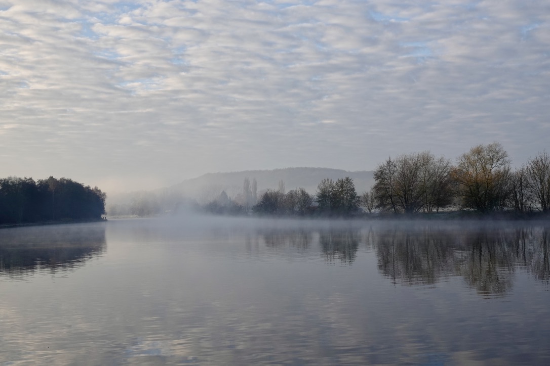 IM NEBEL EINES NEUEN MORGENS - CAROLYN HAINES